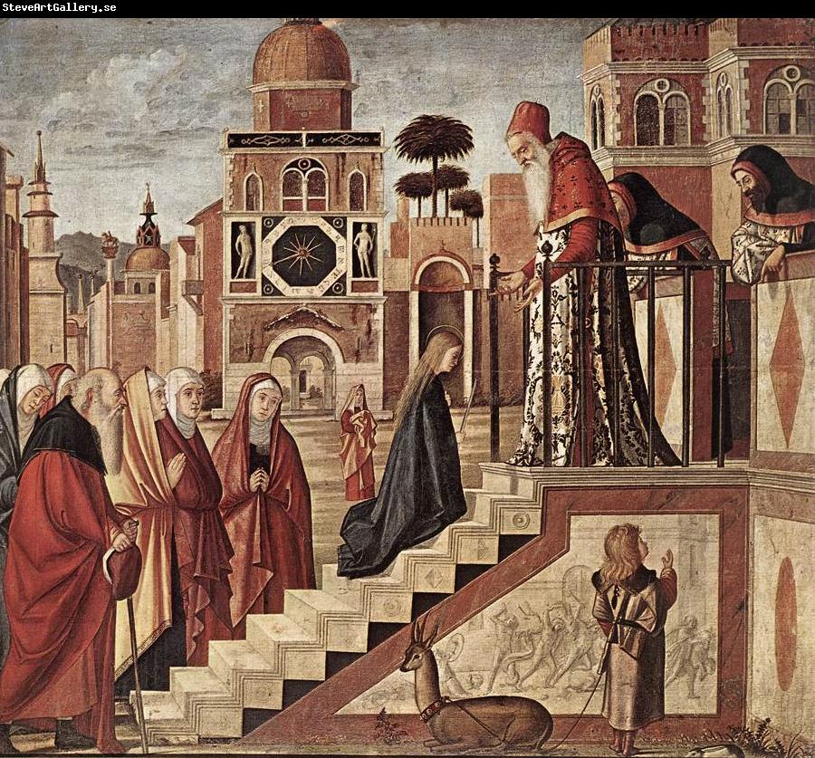 CARPACCIO, Vittore The Presentation of the Virgin fdg